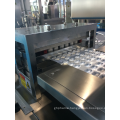 Blister packaging machine for veterinary drugs